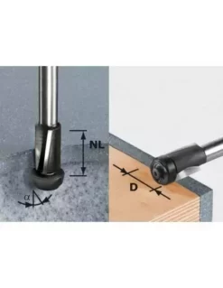 Fraise à Affleurer HW Avec Queue De 12 Mm HW D19/25 Ss S12 - Festool | IFD Outillage